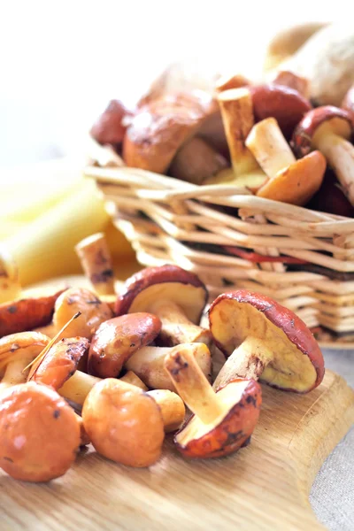 Suillus. — Foto de Stock