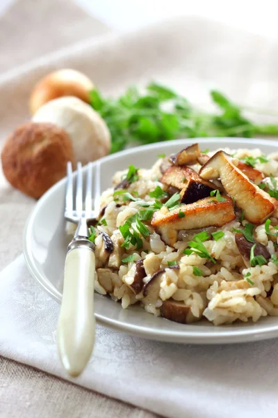 Risotto mit Pilzen — Stockfoto