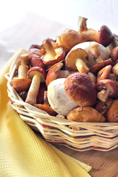 Forest mushrooms in a wicker basket — Stock Photo, Image