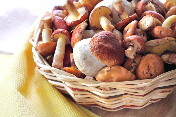 Forest mushrooms in a wicker basket — Stock Photo, Image