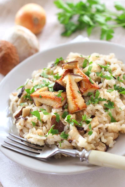 Risotto mit Pilzen — Stockfoto