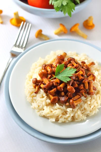 Risotto mit Pfifferlingen — Stockfoto