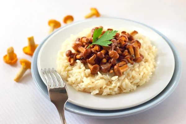 Risotto with chanterelles — Stock Photo, Image