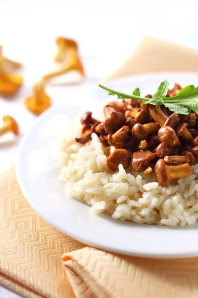 Risotto mit Pfifferlingen — Stockfoto