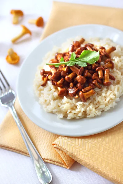 Risotto mit Pfifferlingen — Stockfoto