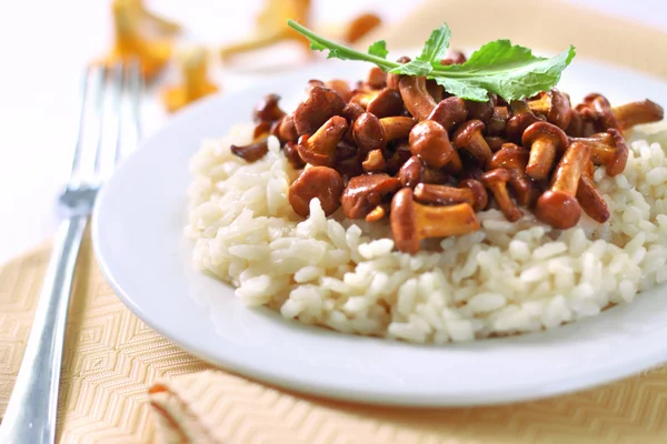 Risotto mit Pfifferlingen — Stockfoto