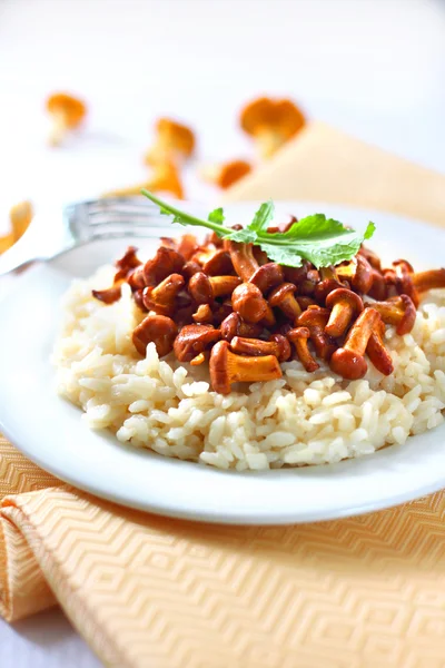 Risotto mit Pfifferlingen — Stockfoto