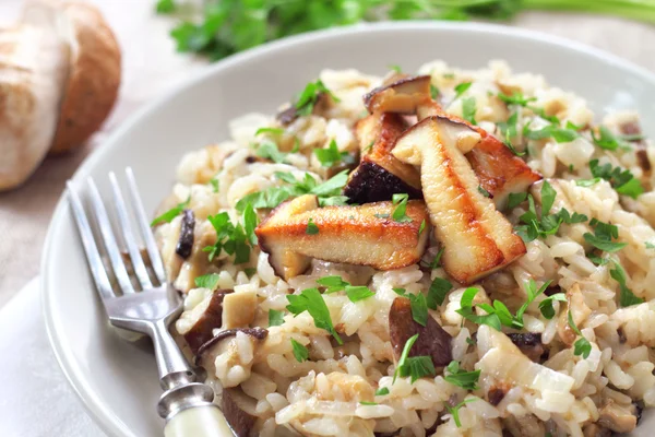 Risotto aux champignons Photo De Stock