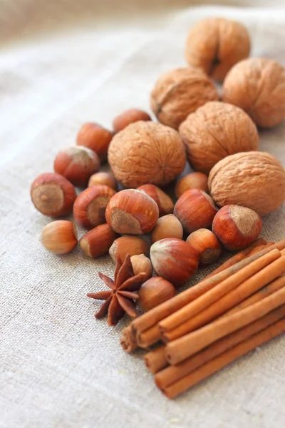 Frutta a guscio e spezie sul fondo del sacco — Foto Stock