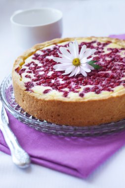 süzme peynir ve somun ile pasta