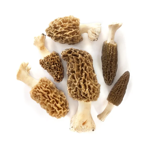 Группа грибов морель изолированы на белом фоне Лицензионные Стоковые Изображения