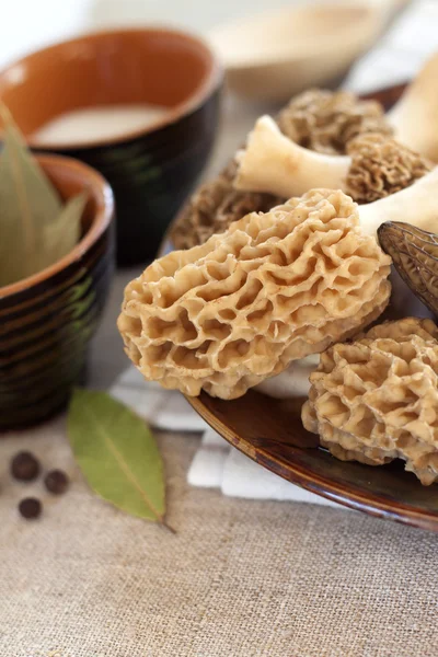 Cogumelos de morel frescos em uma chapa — Fotografia de Stock