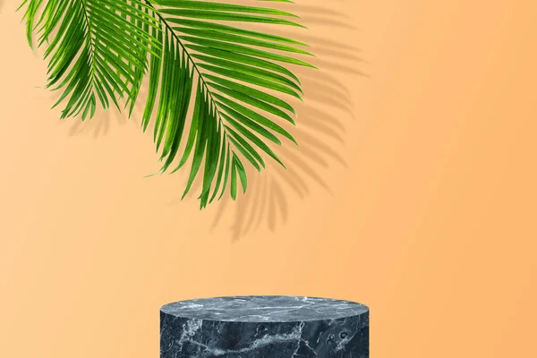 Empty Space Studio Room Black Marble Stage Green Palm Leaves — Stock Photo, Image