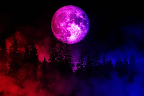 Luna Llena Bosque Con Niebla Rojo Azul Efecto Iluminación Fondo — Foto de Stock