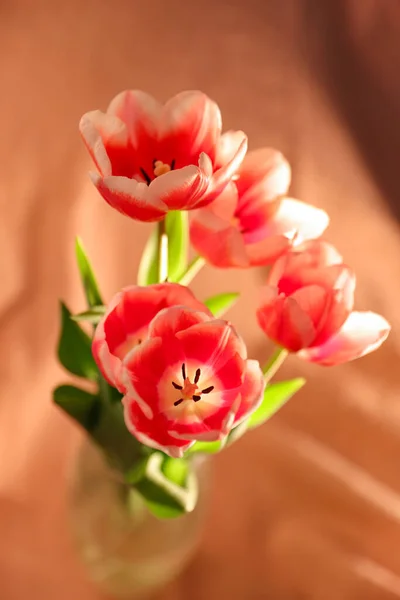 Pink Tulips Bouquet Warm Light Selected Focus Floral Background Greeting — стоковое фото