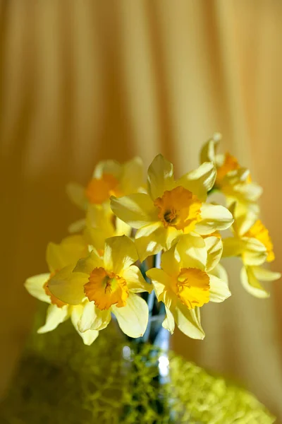 Bunch Daffodil Flowers Vase Postcard Concept Floral Wallpaper — стоковое фото