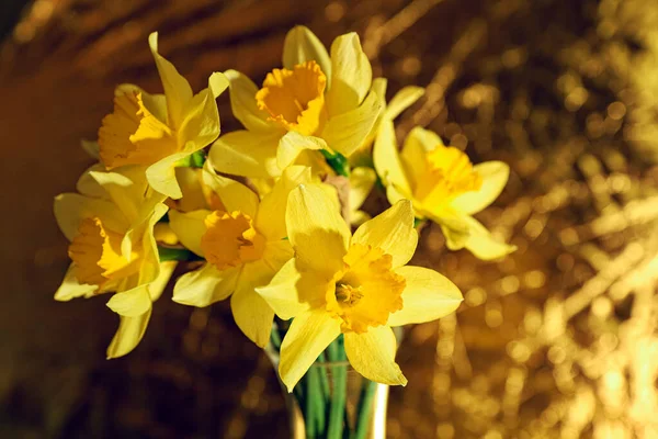 Romantic Yellow Daffodil Flower Bouquet Golden Background Congratulation Concept — стоковое фото