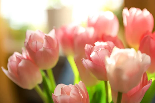 Нежная Красота Светло Розовых Тюльпанов Избирательным Фокусом Тюльпановый Фон Цветочные — стоковое фото