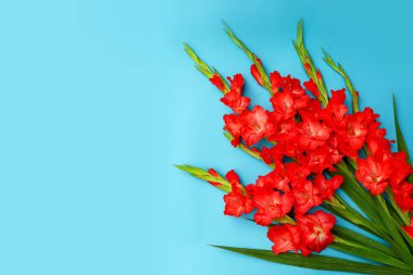 Bouquet of salmon red Gladioli flowers with copy space. Greeting card mock-up. Floral background