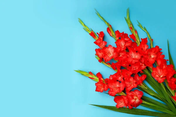 Bouquet of salmon red Gladioli flowers with copy space. Greeting card mock-up. Floral background