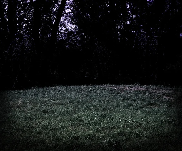 Scary Meadow at Night Halloween Background — Stock Photo, Image