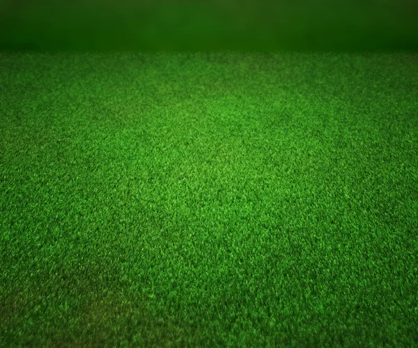 Perspectiv Grass Texture Stage Background — Stock Photo, Image