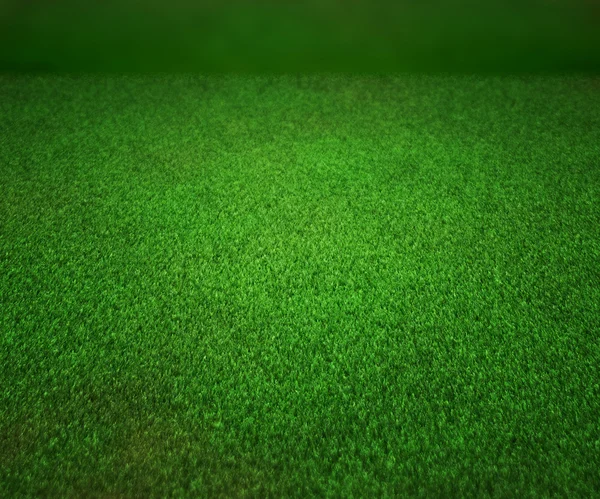 Perspektive Gras Textur Bühne Hintergrund — Stockfoto
