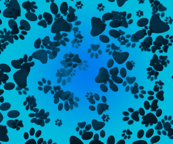 Hond paws blauwe achtergrond — Stockfoto