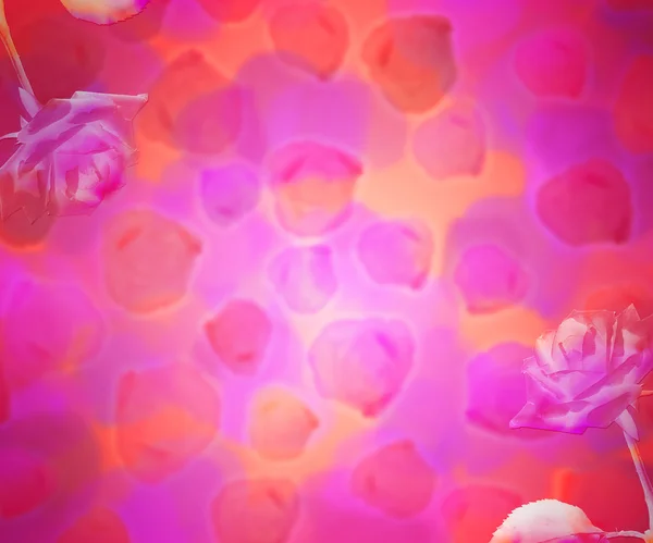 粉红色鲜花抽象背景 — 图库照片