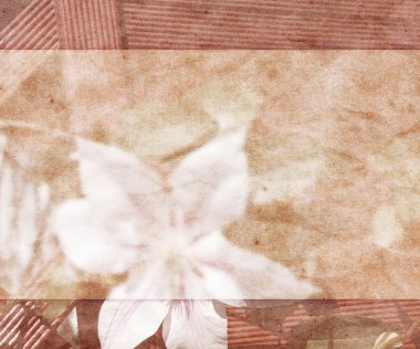 güzel düğün arka plan