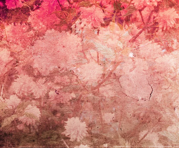 Красный цветок Винтажные текстуры — стоковое фото