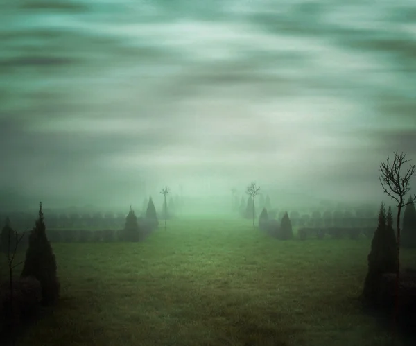 Green Misty Background — Stock Photo, Image