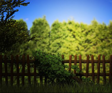 eski ahşap çit yeşil arka plan