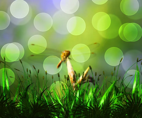 Green Spring Background — Stock Photo, Image