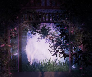 gece karanlık arka bahçeye