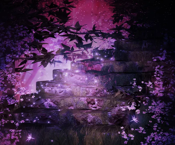 Garden at Night Pink Background — Stock Photo, Image