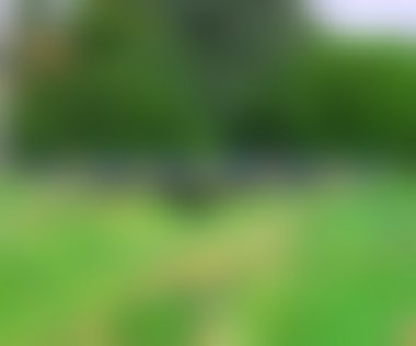 doğal bulanık görüntü doku