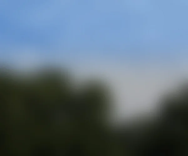 Blurred Picture Texture — Stock Photo, Image