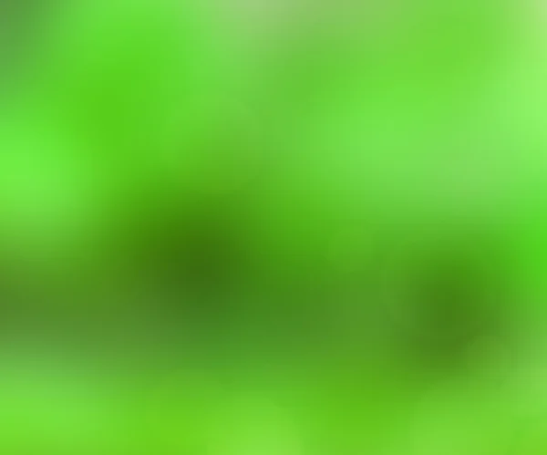 Sfondo verde sfocato — Foto Stock