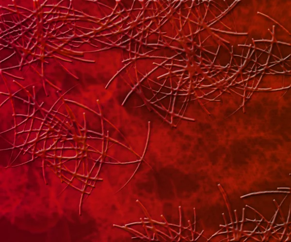 Cells Red Texture — Stock Photo, Image