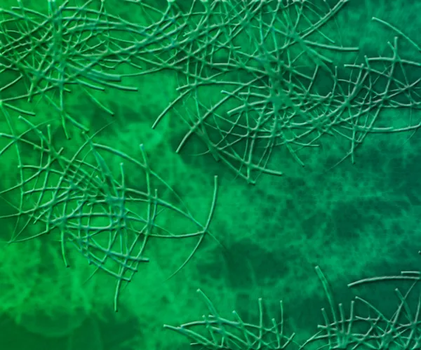 Green Microorganisms Texture — Stock Photo, Image