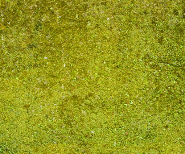 Grunge grön vägg bakgrundsstruktur — Stockfoto