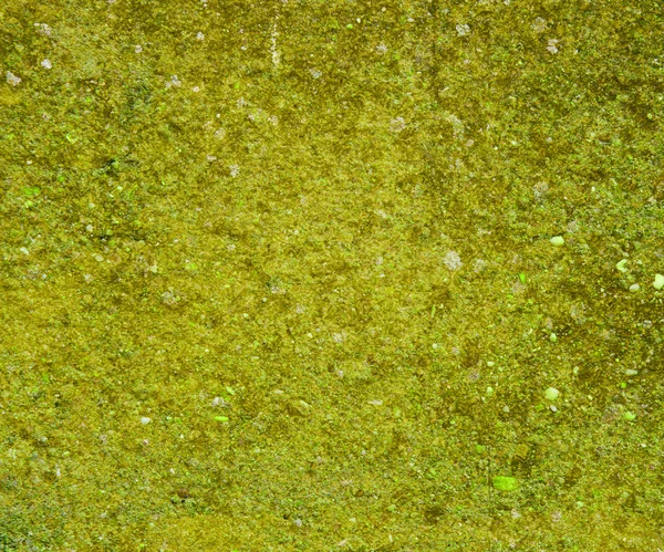 Grunge Verde Concreto Fundo — Fotografia de Stock