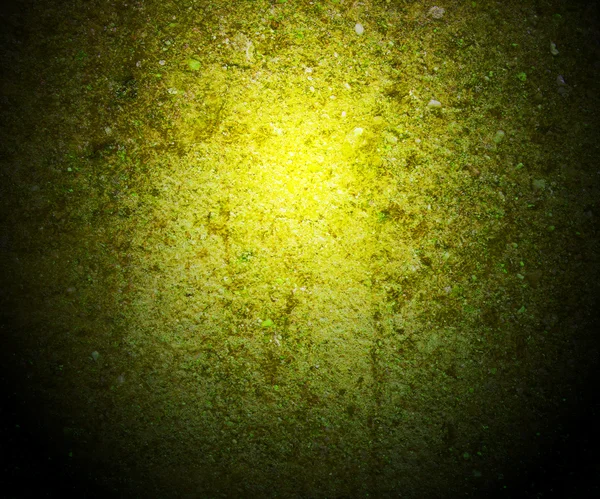 Green Moss on Wall Background — Stock Photo, Image