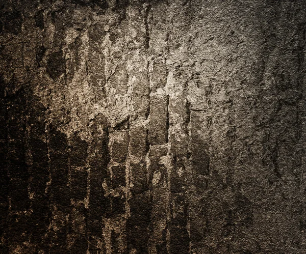 Grunge Wall Texture — Stock fotografie