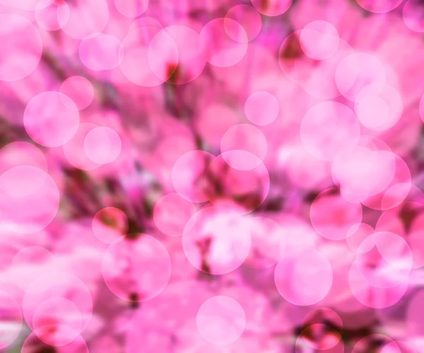 Růžový bokeh pozadí — Stock fotografie