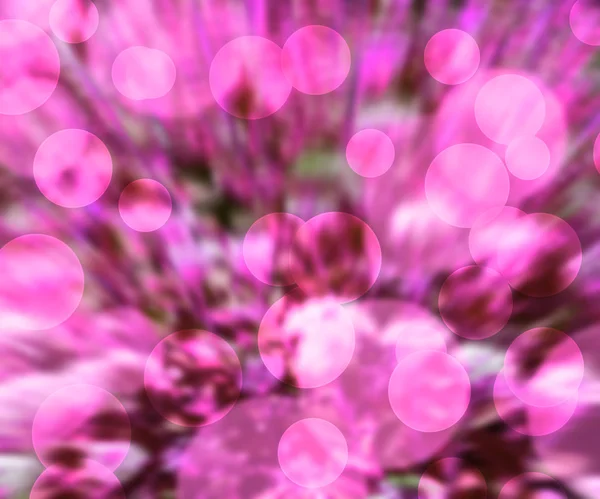 粉红色散景背景 — 图库照片
