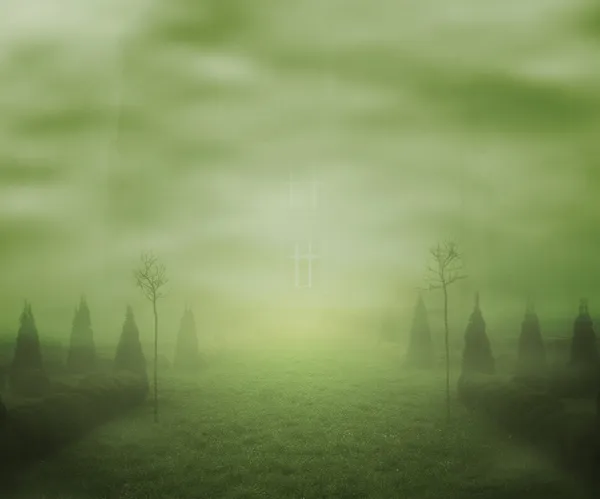 Fog Fantasy Fondo — Foto de Stock