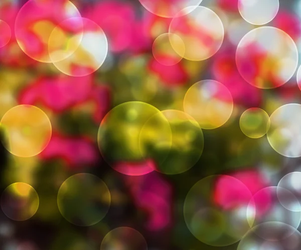 Tło bokeh — Zdjęcie stockowe