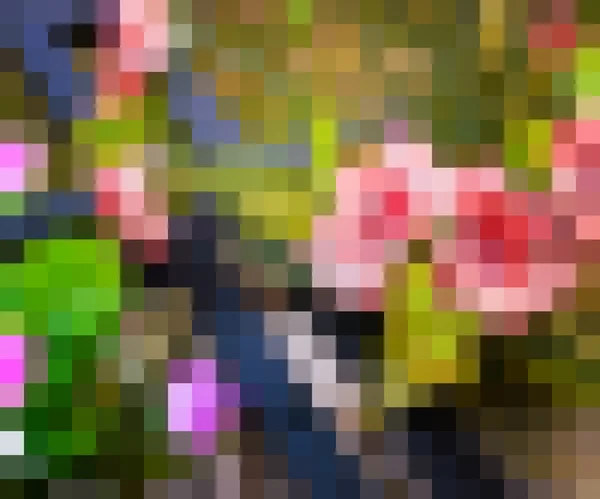 Pixel Backdrop — Stock Photo, Image